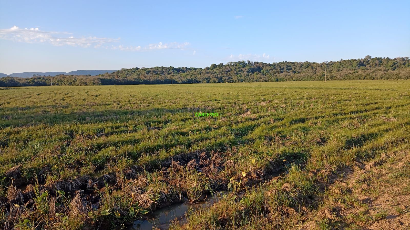 Fazenda/sítio/chácara/haras à venda  no Arroio do Só - Santa Maria, RS. Imóveis