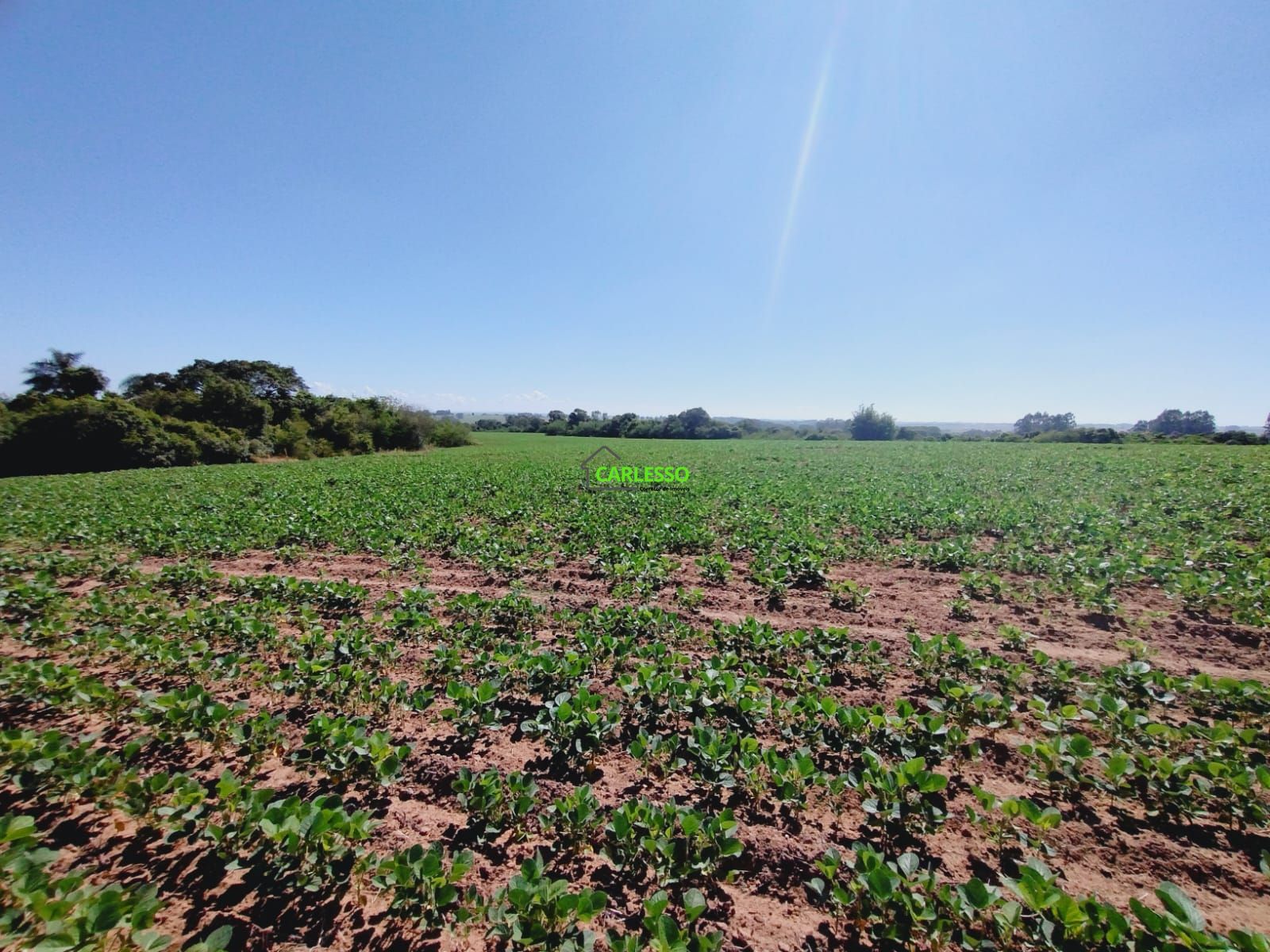 Fazenda/sítio/chácara/haras à venda  no Catuçaba - São Gabriel, RS. Imóveis