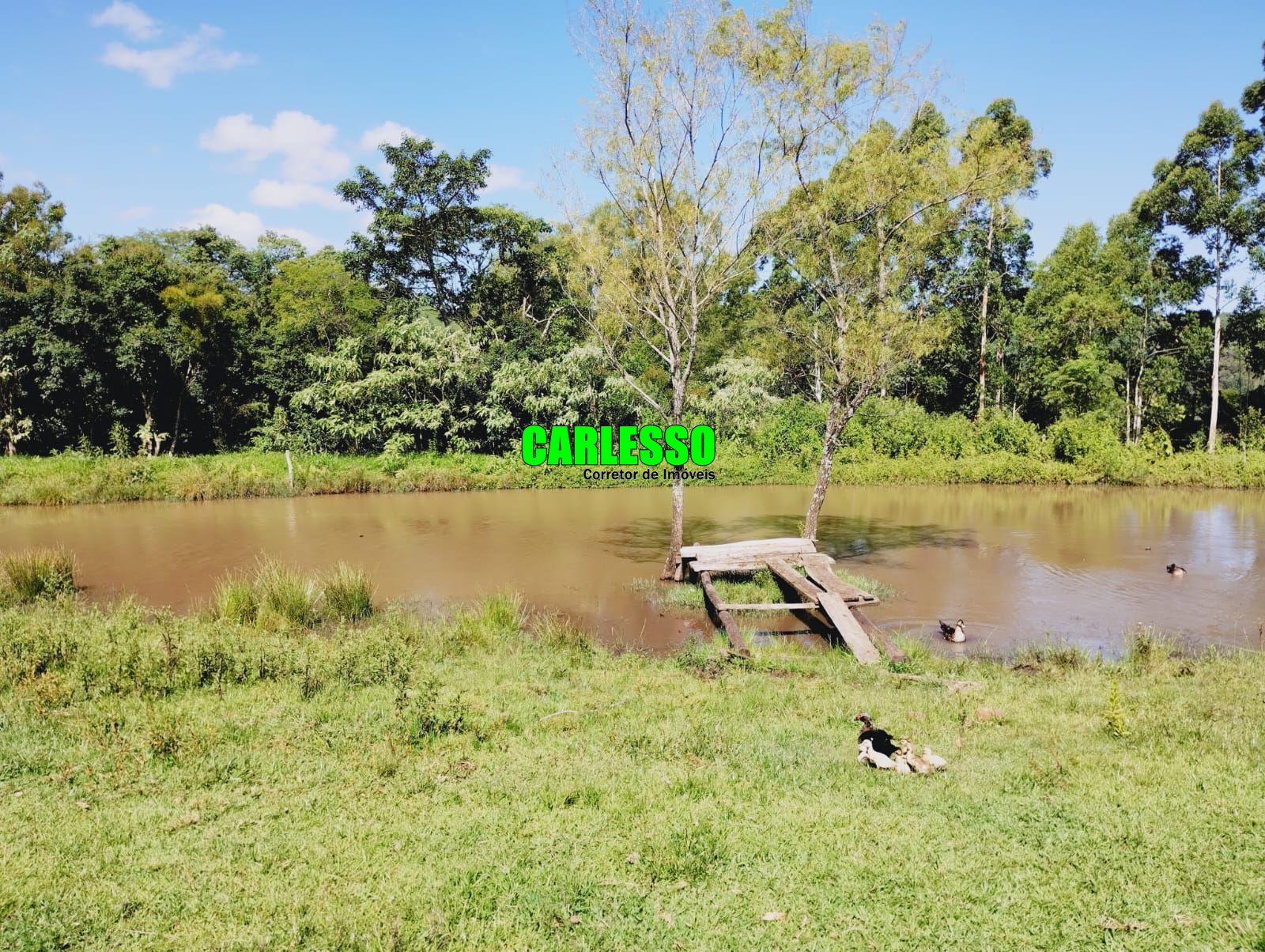 Fazenda à venda com 2 quartos, 100m² - Foto 41