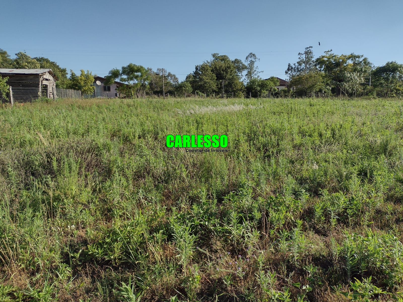 Fazenda à venda com 2 quartos, 150000m² - Foto 22