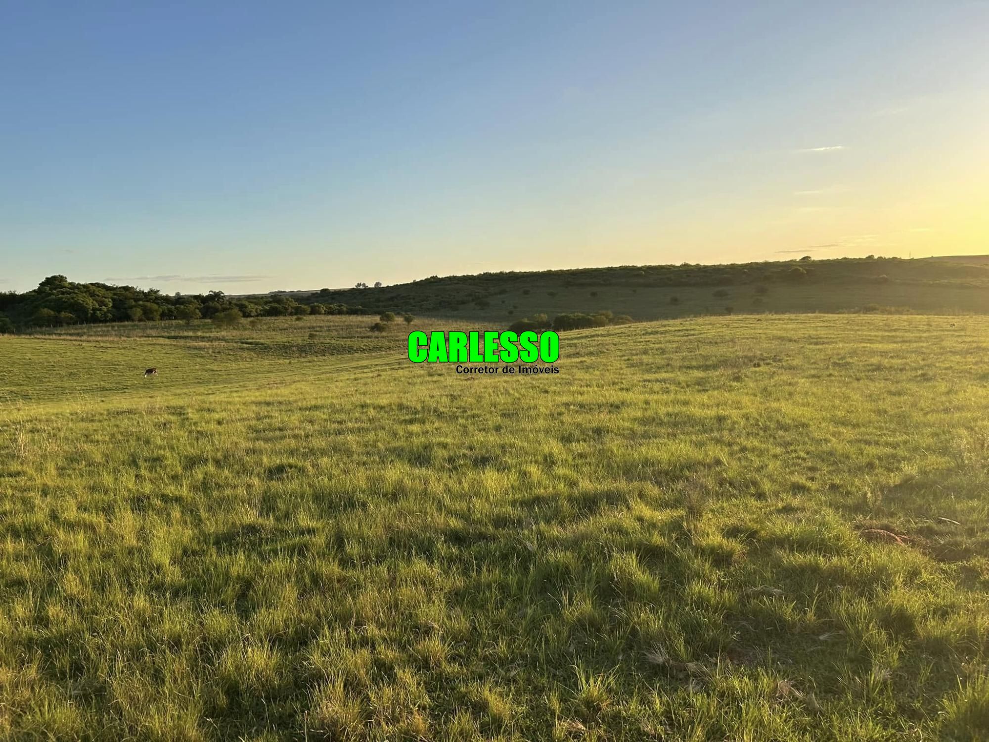 Fazenda à venda com 2 quartos, 70m² - Foto 5