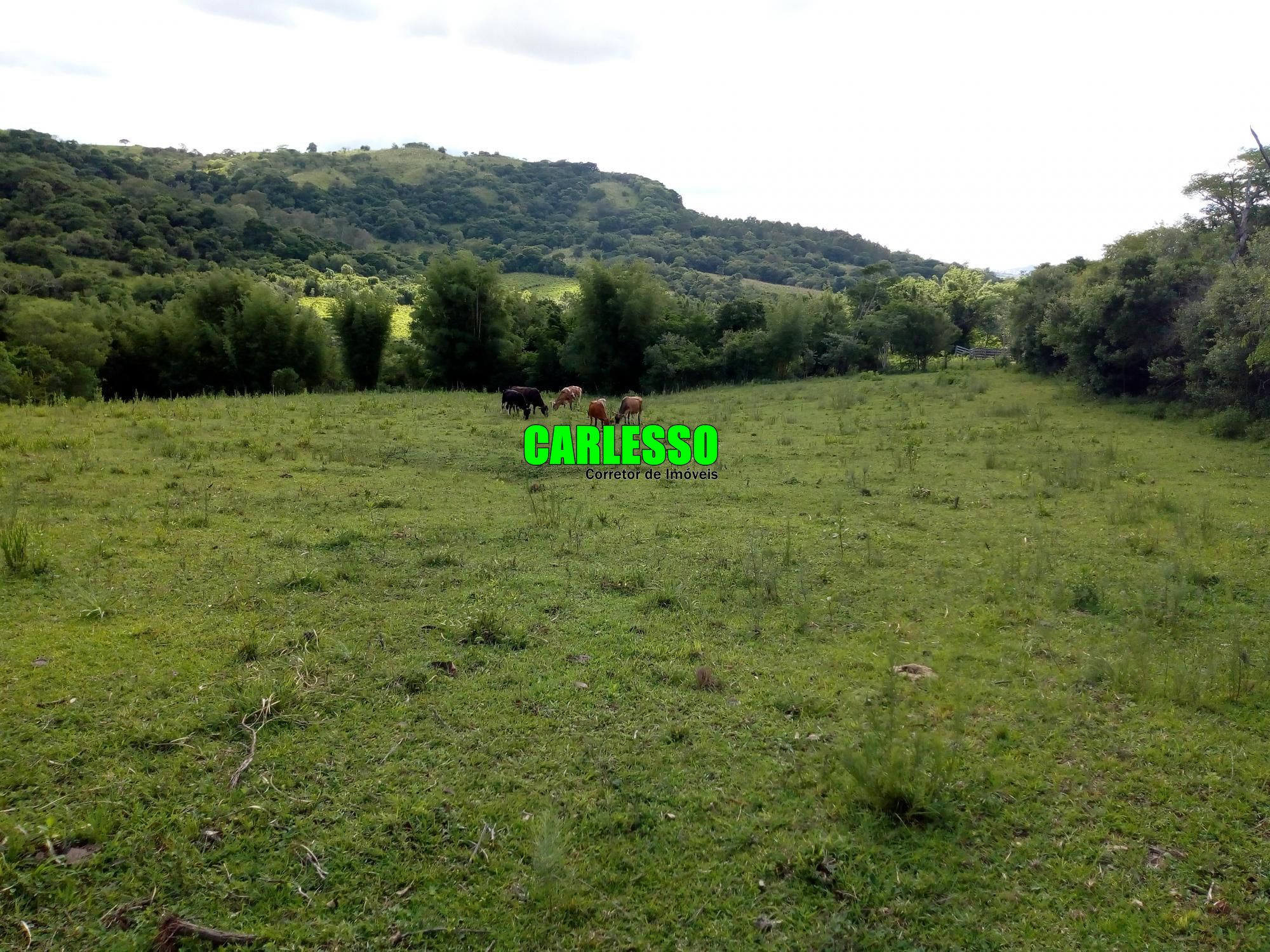Loteamento e Condomínio à venda, 50000m² - Foto 42