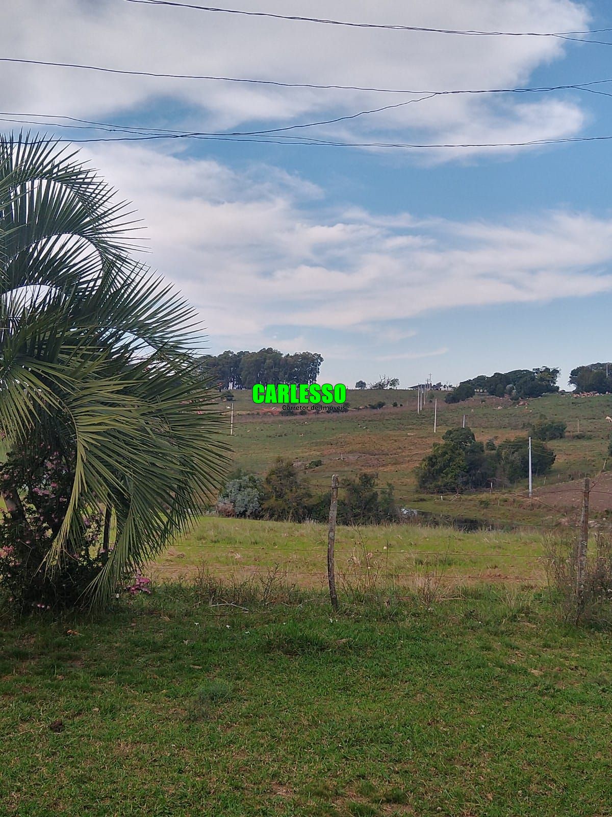 Fazenda à venda com 2 quartos, 100m² - Foto 23