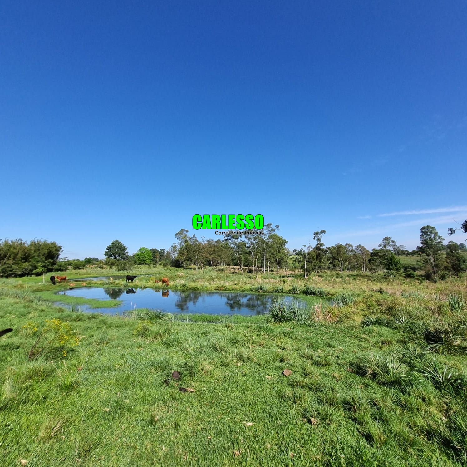 Chácara à venda com 5 quartos, 200m² - Foto 19