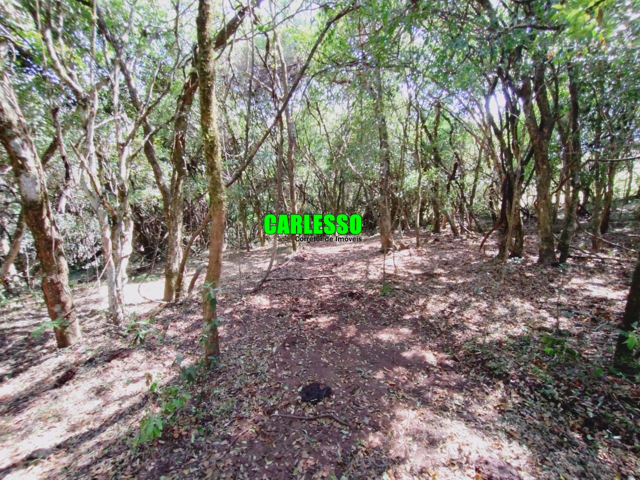 Loteamento e Condomínio à venda, 80000m² - Foto 19