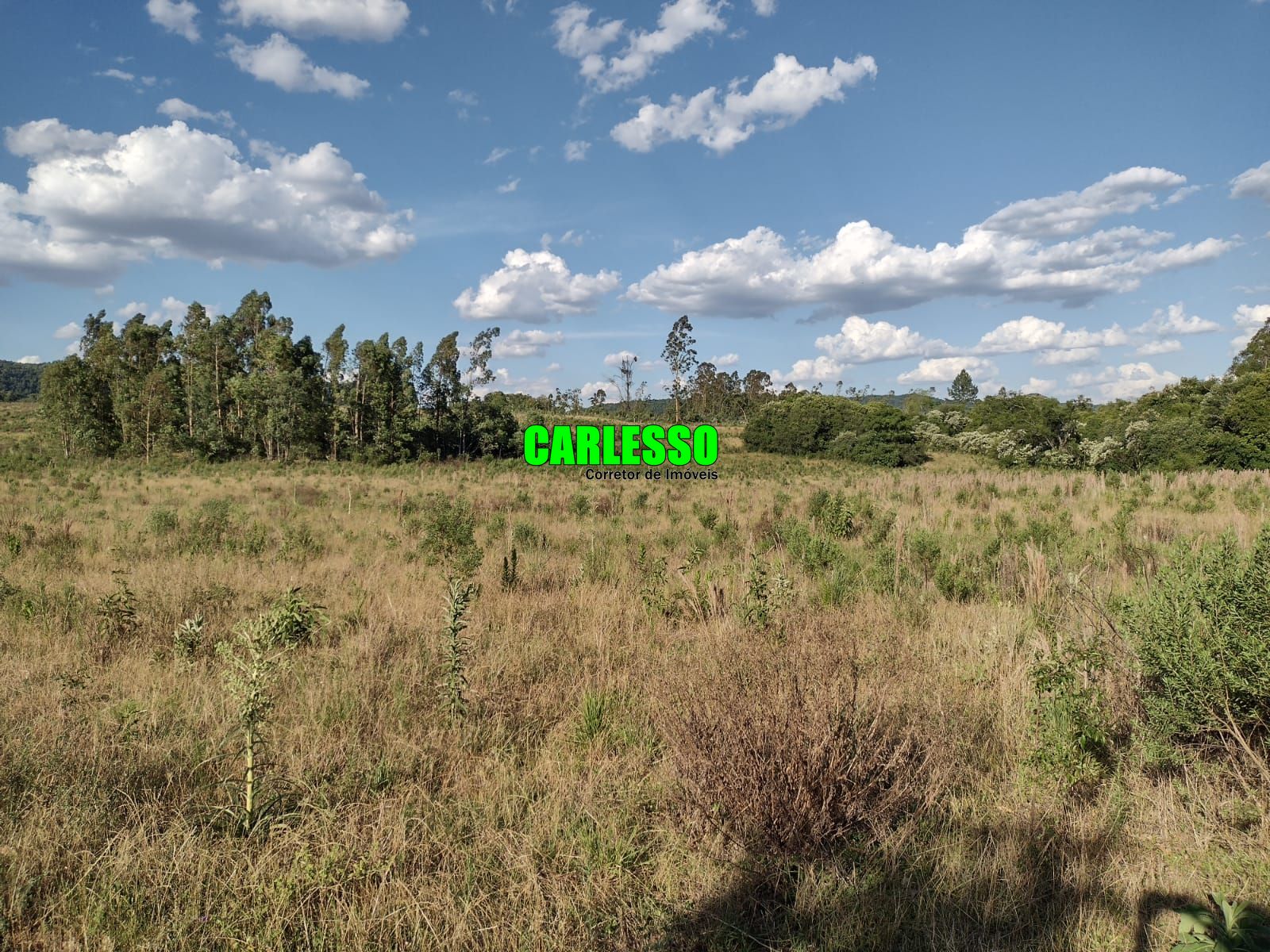 Fazenda à venda com 2 quartos, 150000m² - Foto 39