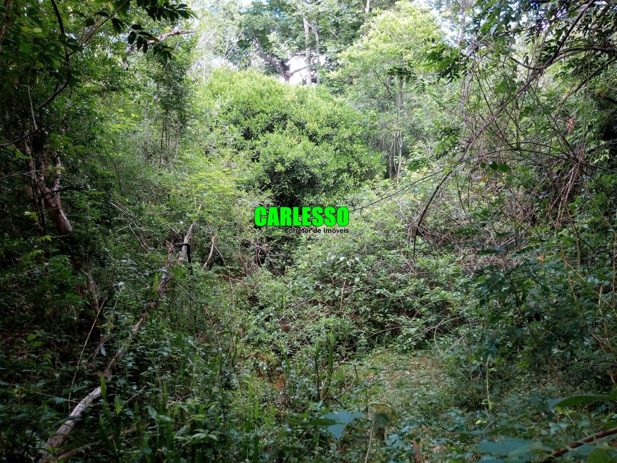 Loteamento e Condomínio à venda, 50000m² - Foto 28