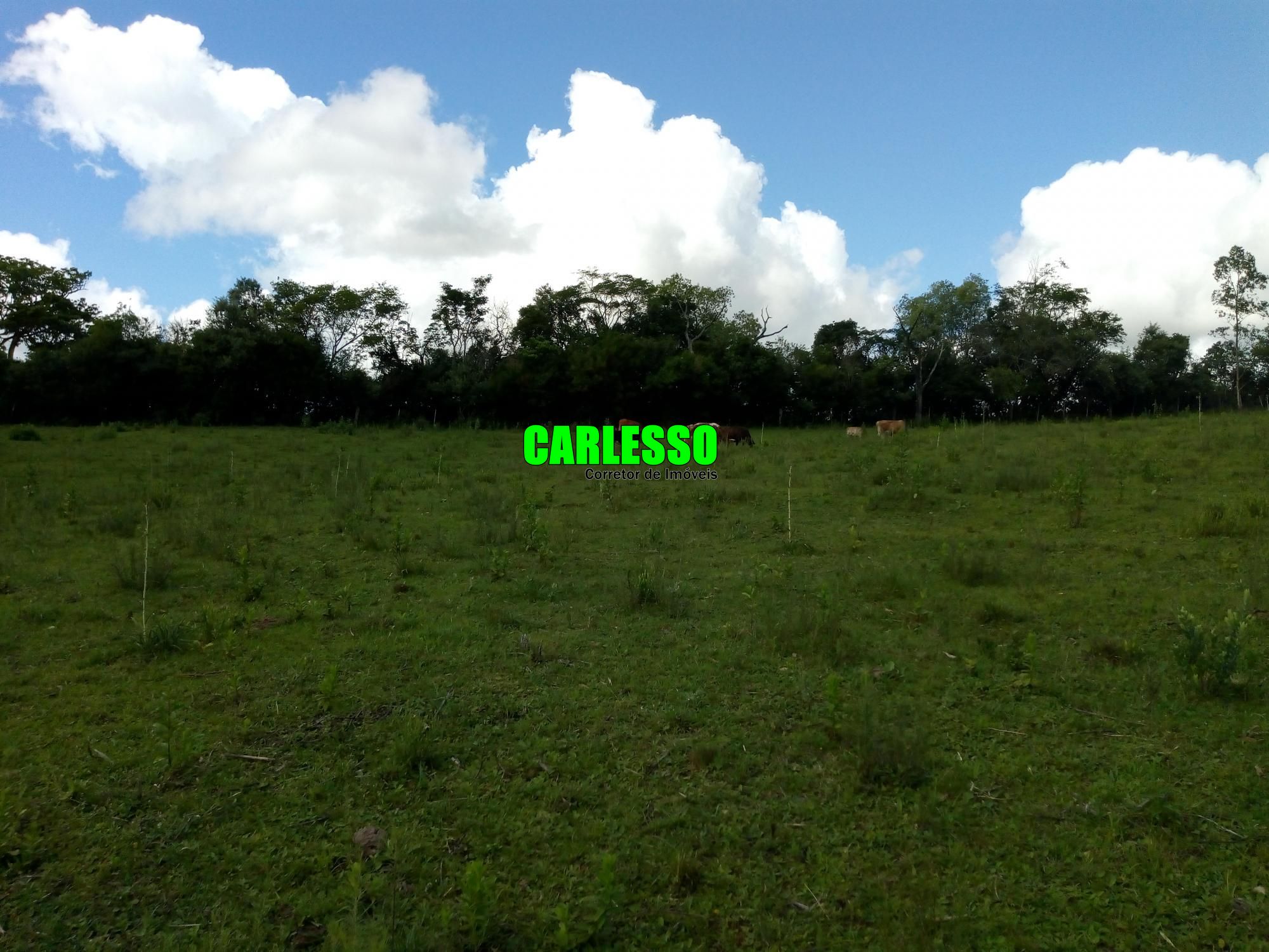 Loteamento e Condomínio à venda, 50000m² - Foto 37