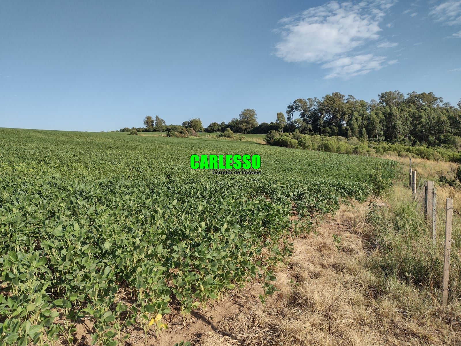 Fazenda à venda com 3 quartos, 630000m² - Foto 49