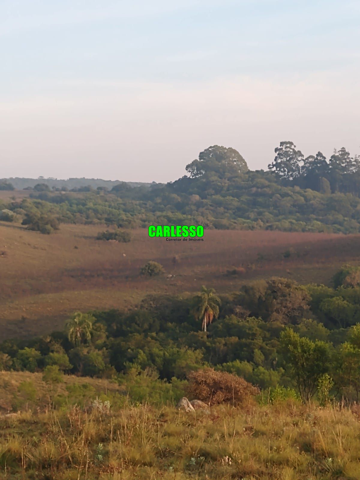 Fazenda à venda com 2 quartos, 100m² - Foto 40