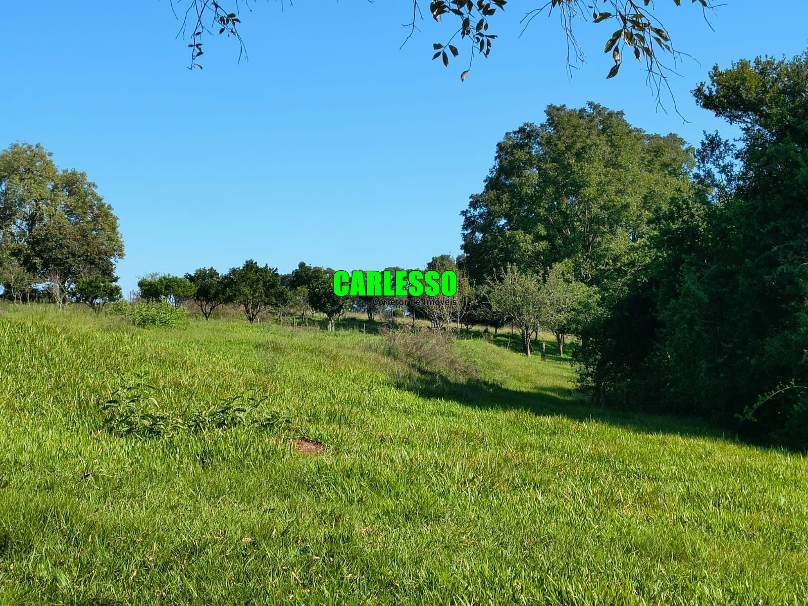 Terreno comercial à venda  no Boca do Monte - Santa Maria, RS. Imóveis
