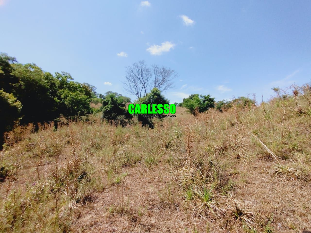 Loteamento e Condomínio à venda, 80000m² - Foto 37
