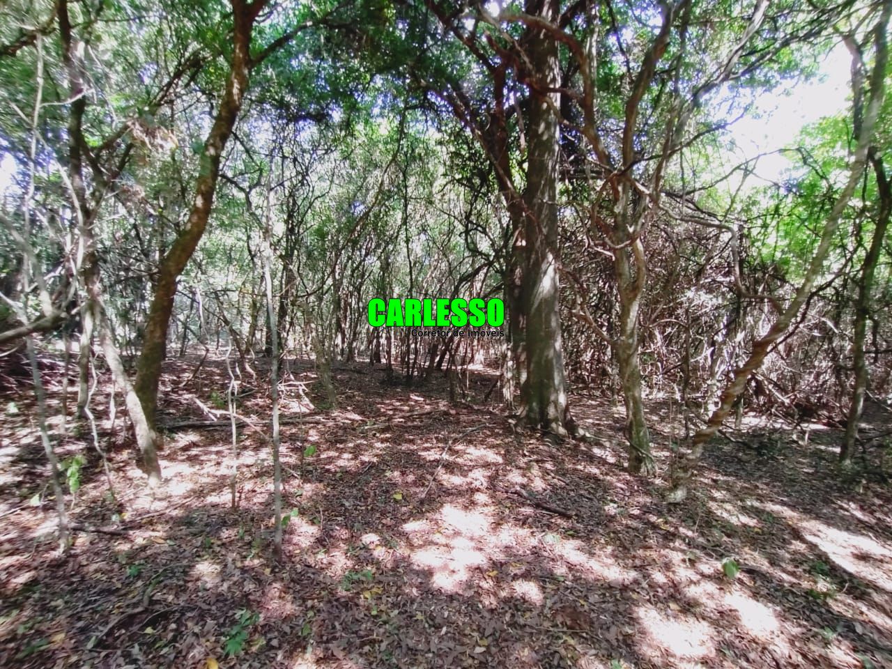 Loteamento e Condomínio à venda, 80000m² - Foto 12