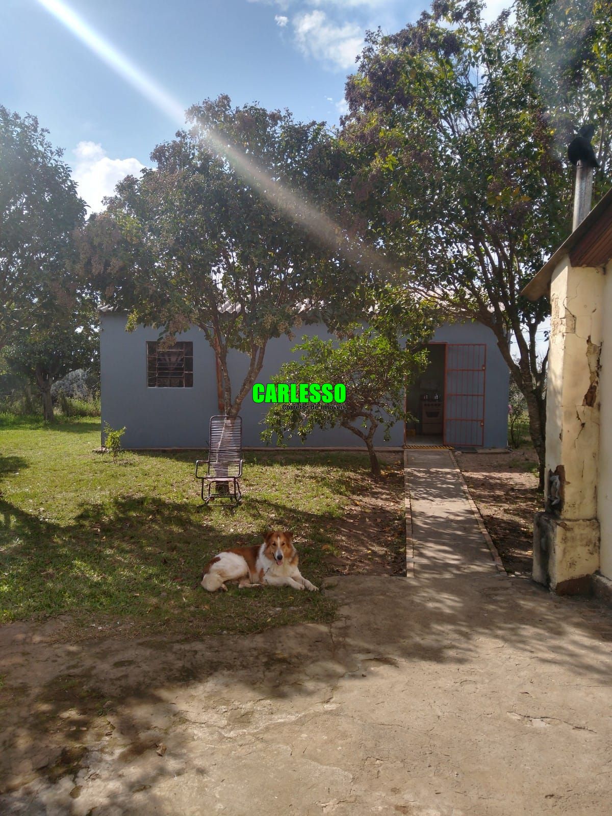 Fazenda à venda com 2 quartos, 100m² - Foto 19