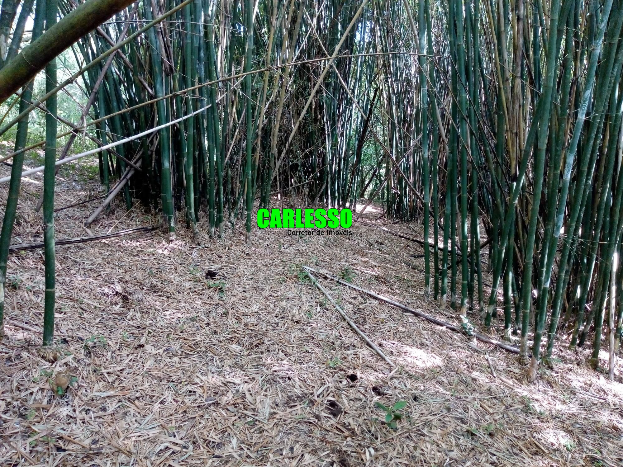 Loteamento e Condomínio à venda, 50000m² - Foto 25
