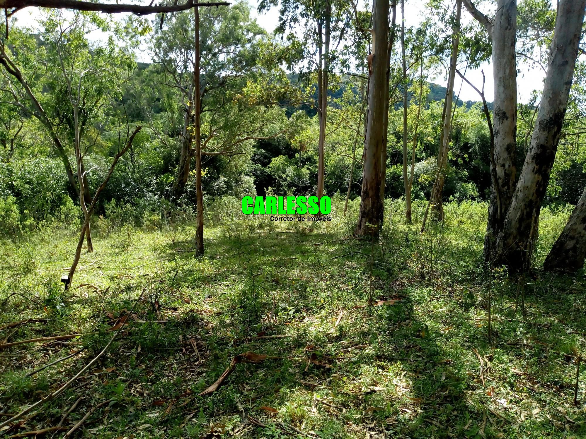 Loteamento e Condomínio à venda, 50000m² - Foto 16