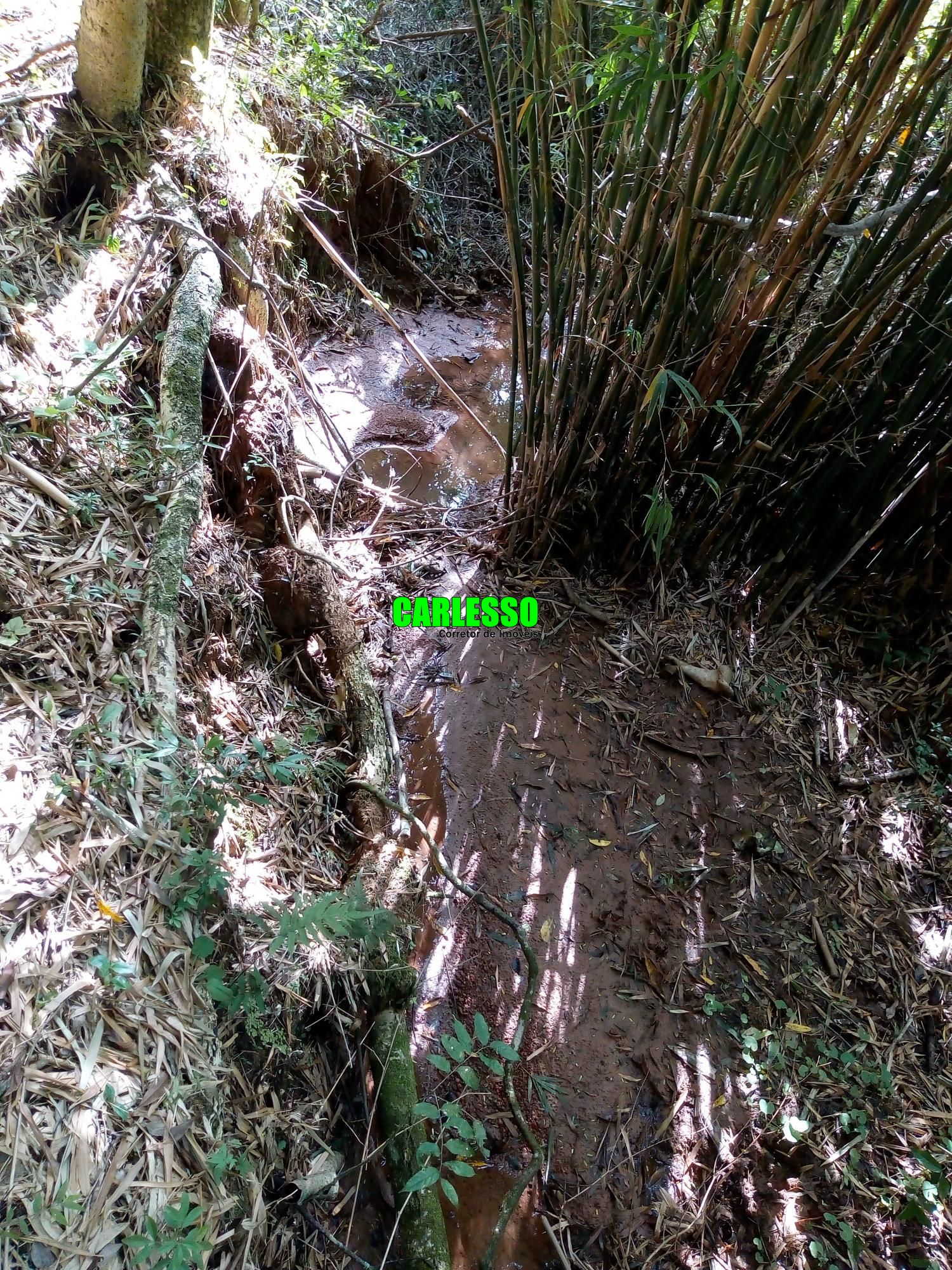 Loteamento e Condomínio à venda, 50000m² - Foto 26