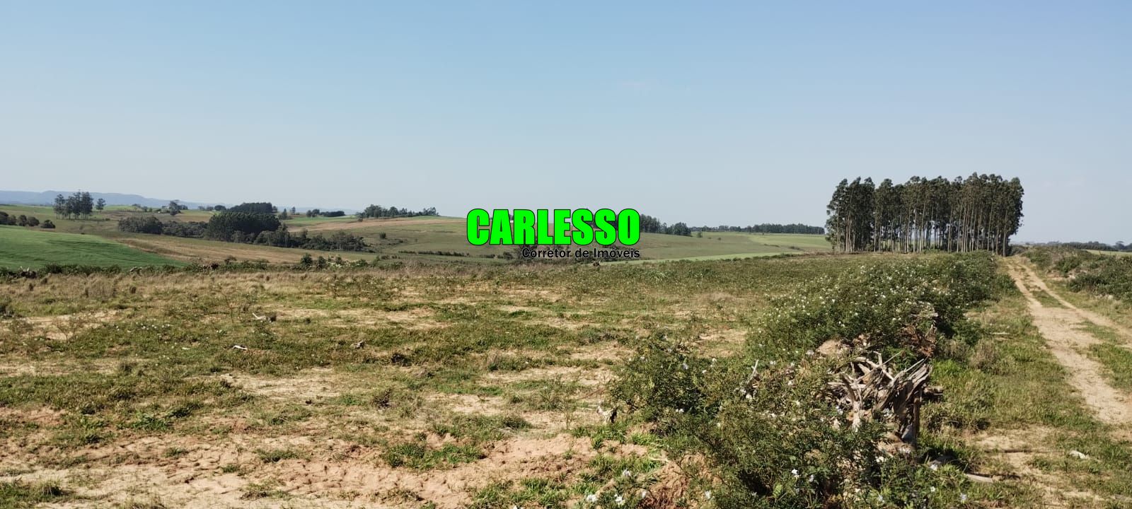 Fazenda à venda com 2 quartos, 295000m² - Foto 41