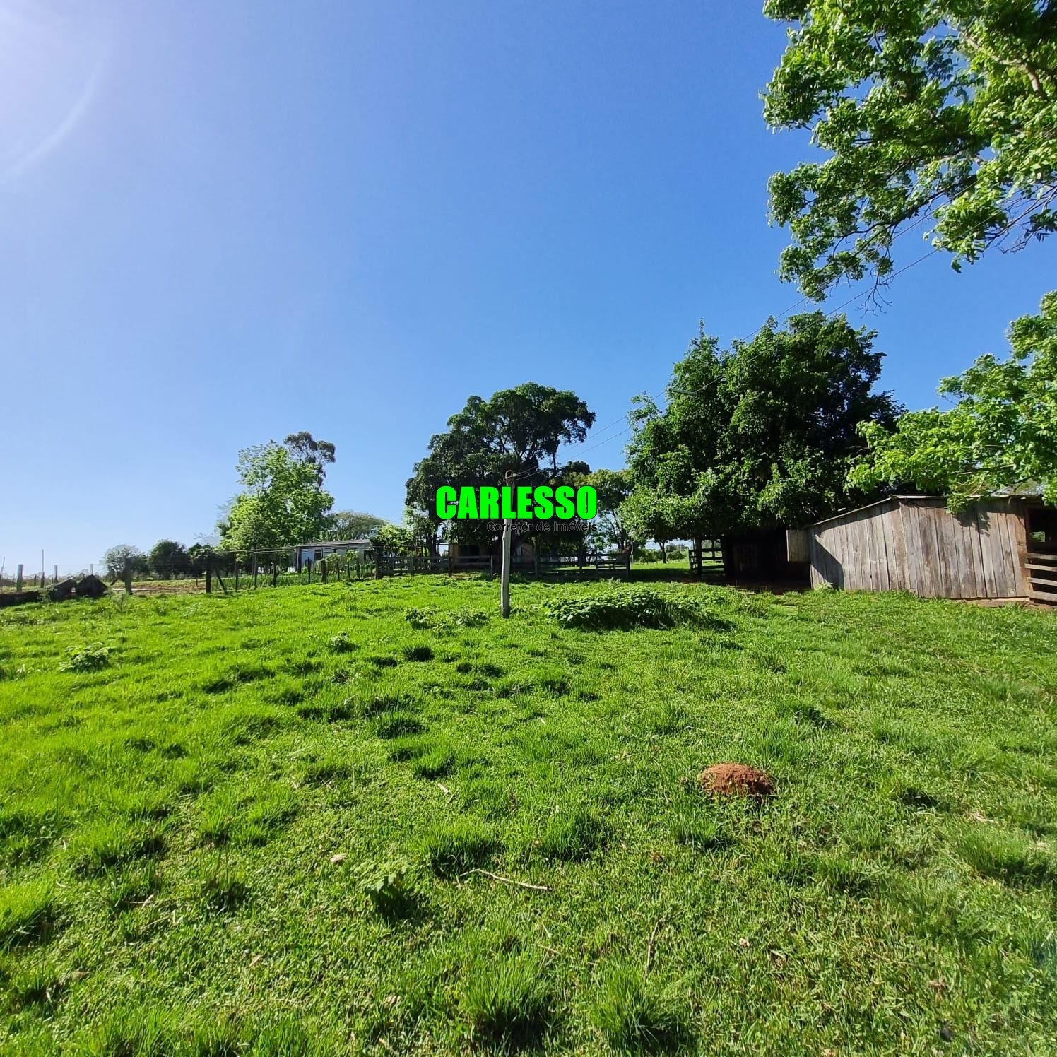 Fazenda à venda com 5 quartos, 200m² - Foto 18