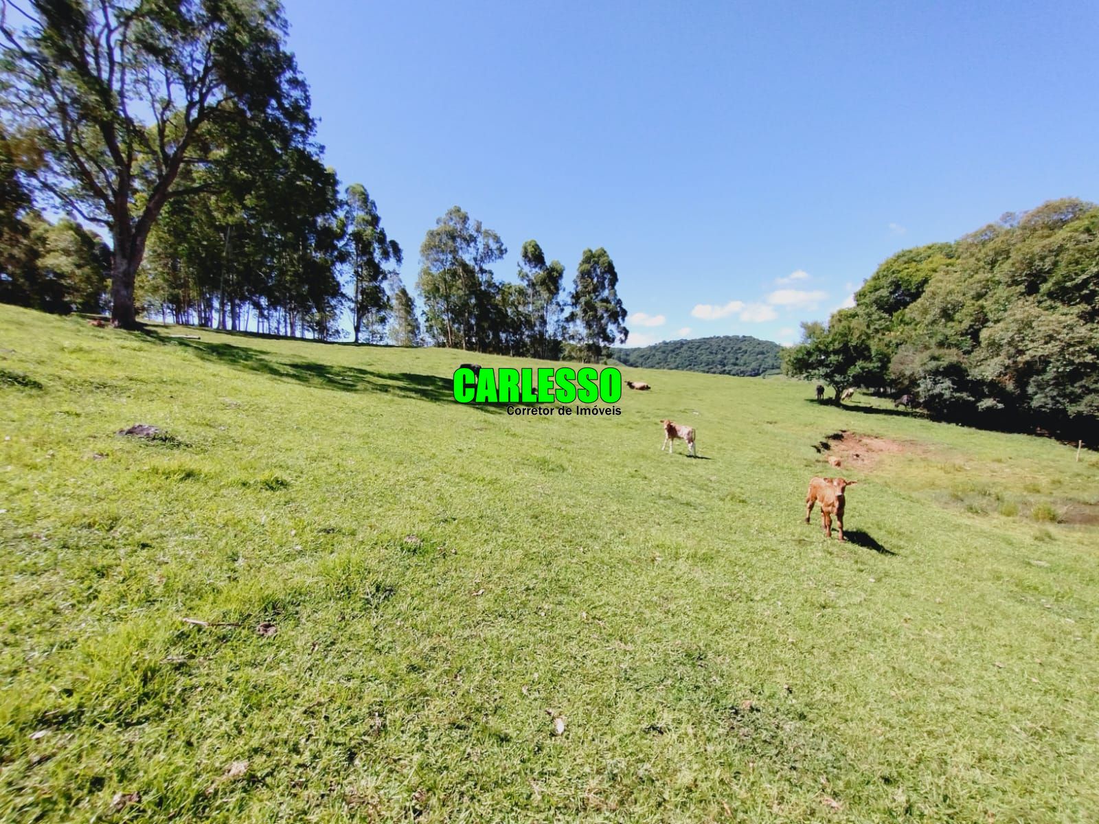 Fazenda à venda com 2 quartos, 100m² - Foto 44