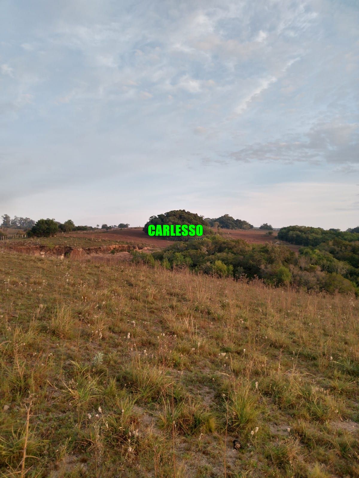 Fazenda à venda com 2 quartos, 100m² - Foto 36