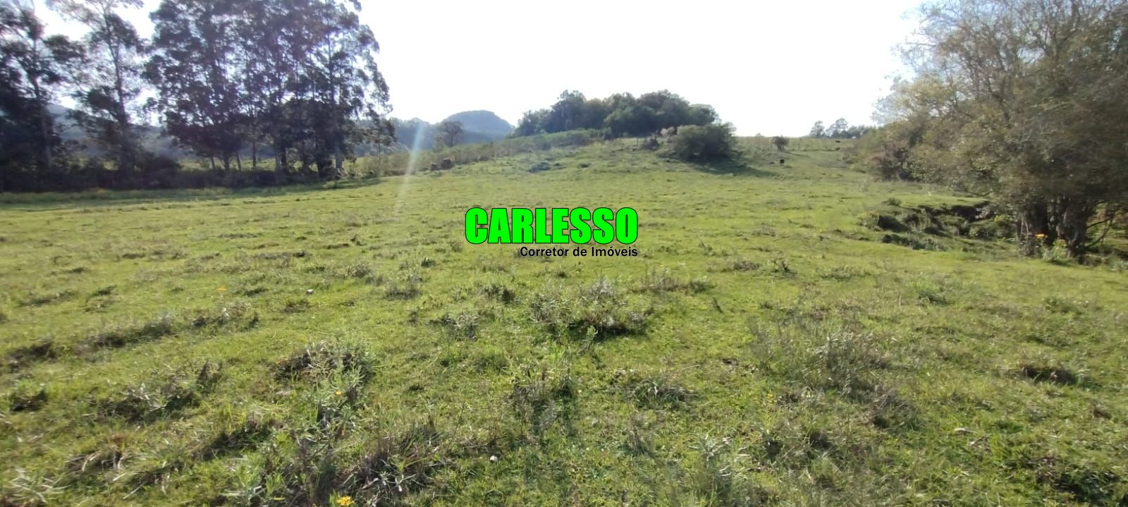 Loteamento e Condomínio à venda, 50000m² - Foto 19