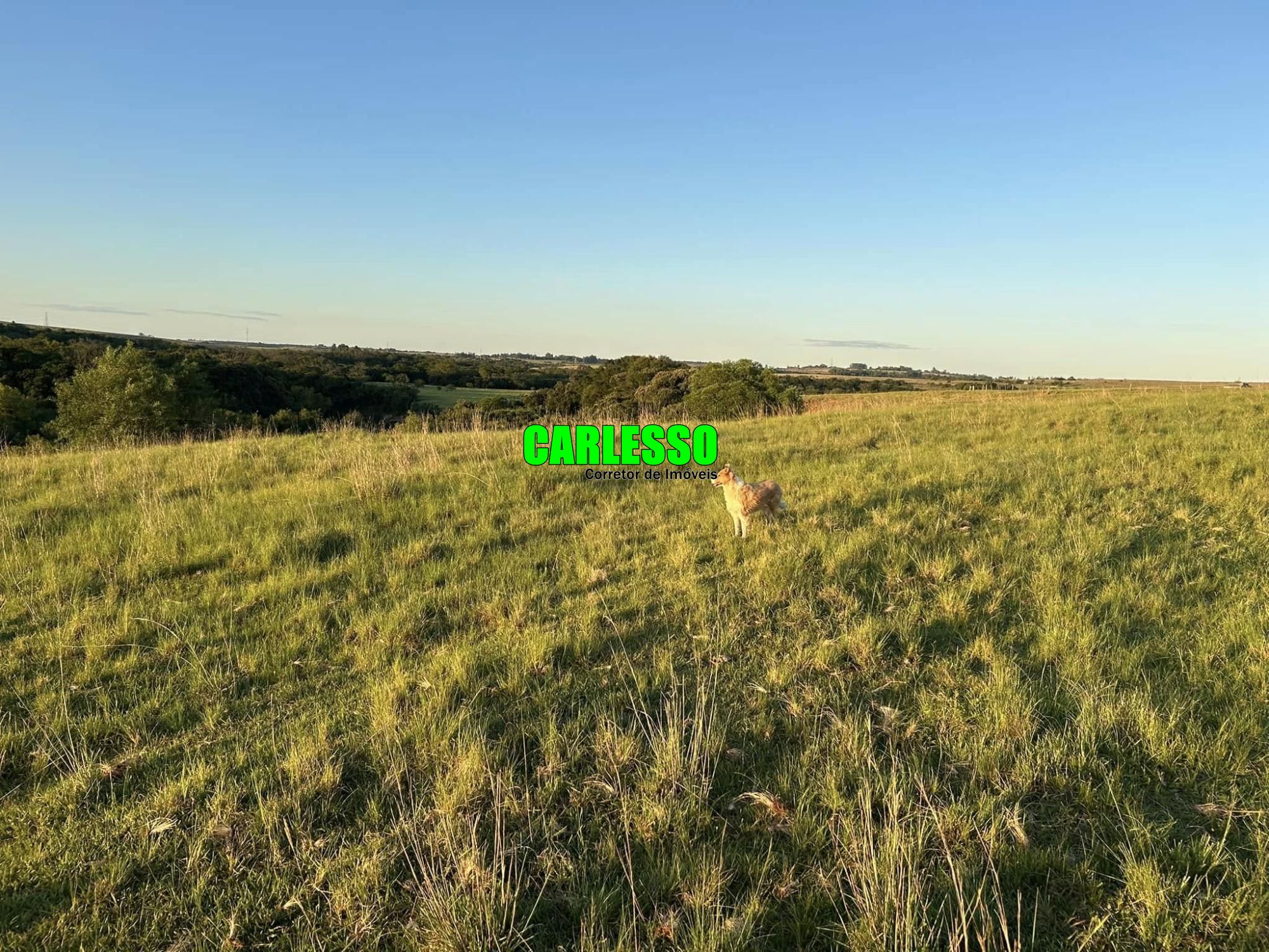 Fazenda à venda com 2 quartos, 70m² - Foto 6