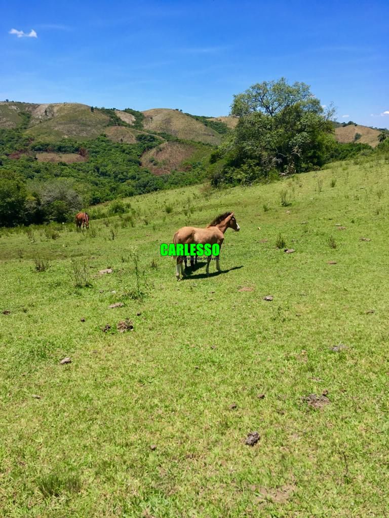 Fazenda à venda com 2 quartos, 5760000m² - Foto 29