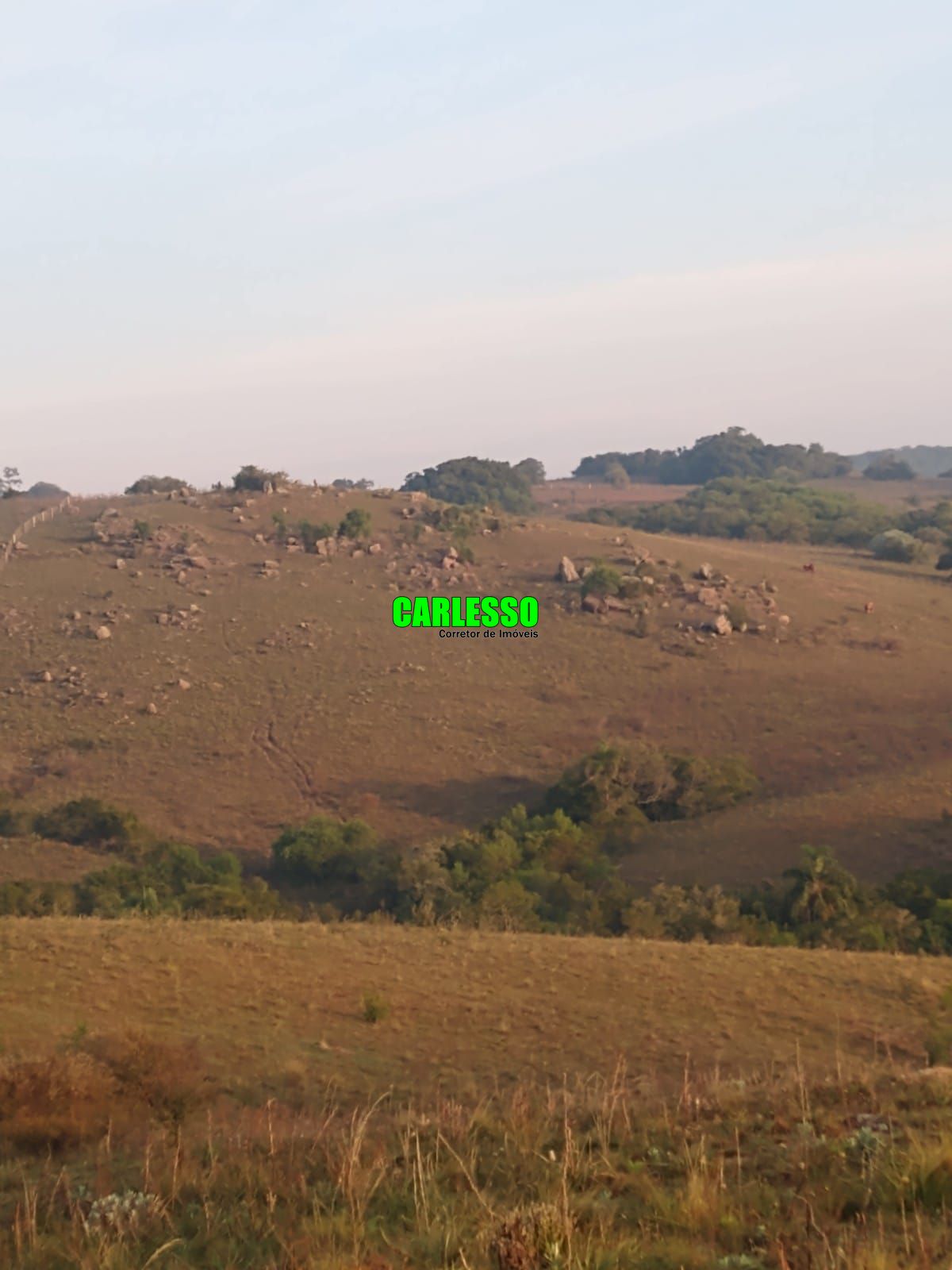 Fazenda à venda com 2 quartos, 100m² - Foto 31