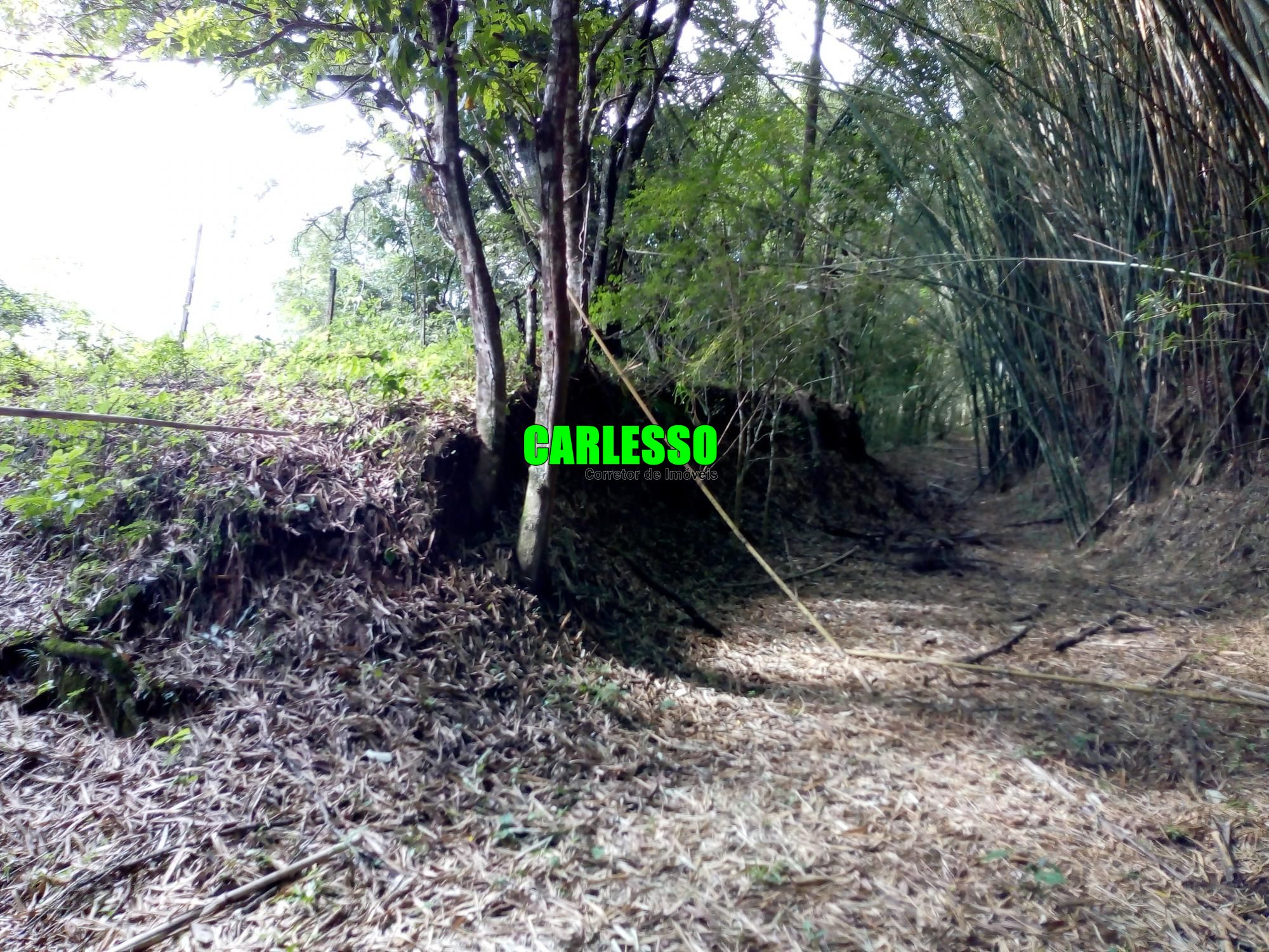 Loteamento e Condomínio à venda, 50000m² - Foto 24