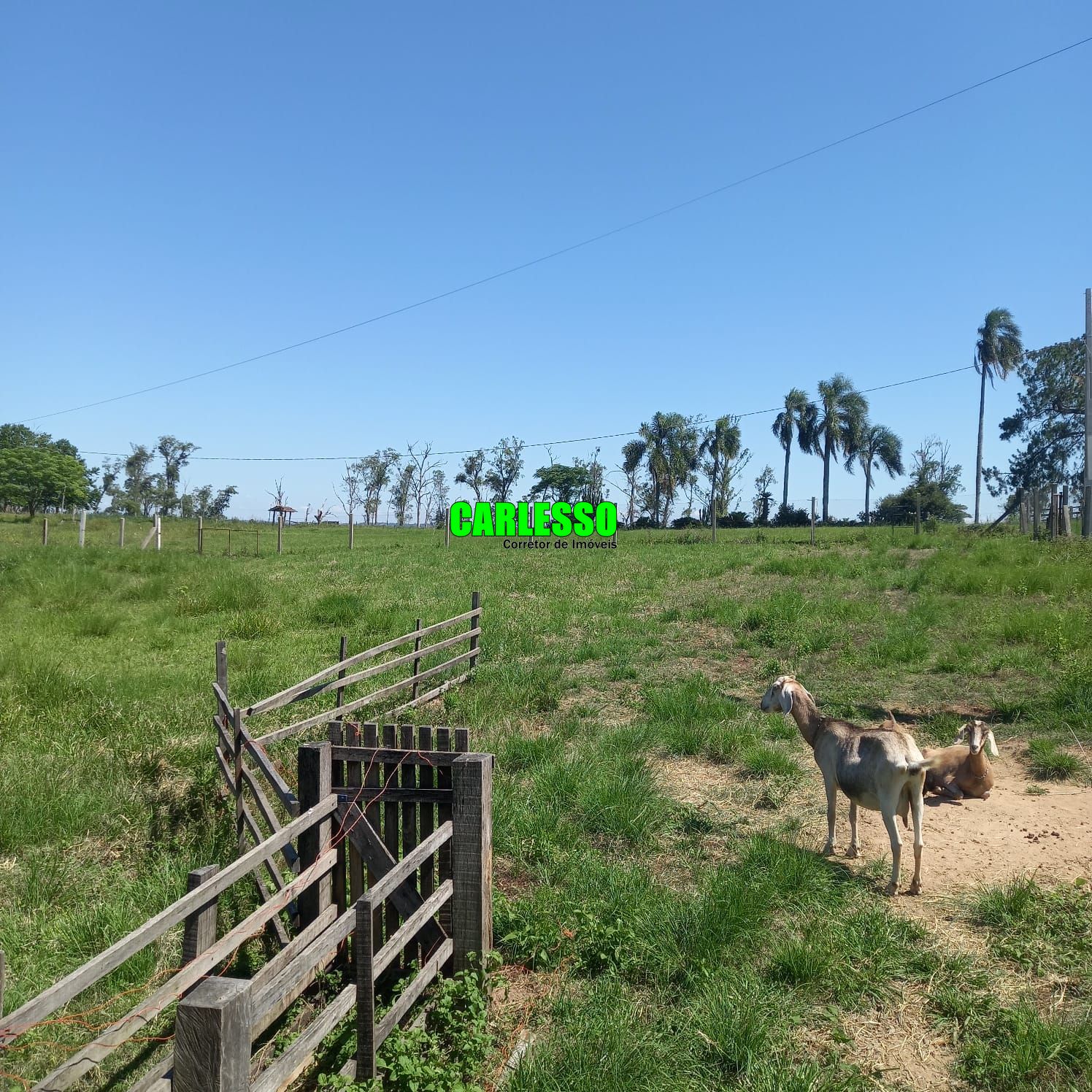 Fazenda à venda com 2 quartos, 125m² - Foto 35