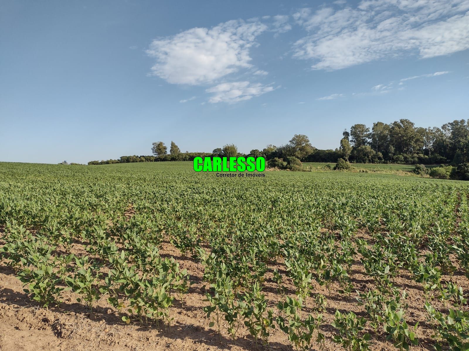 Fazenda à venda com 3 quartos, 630000m² - Foto 53