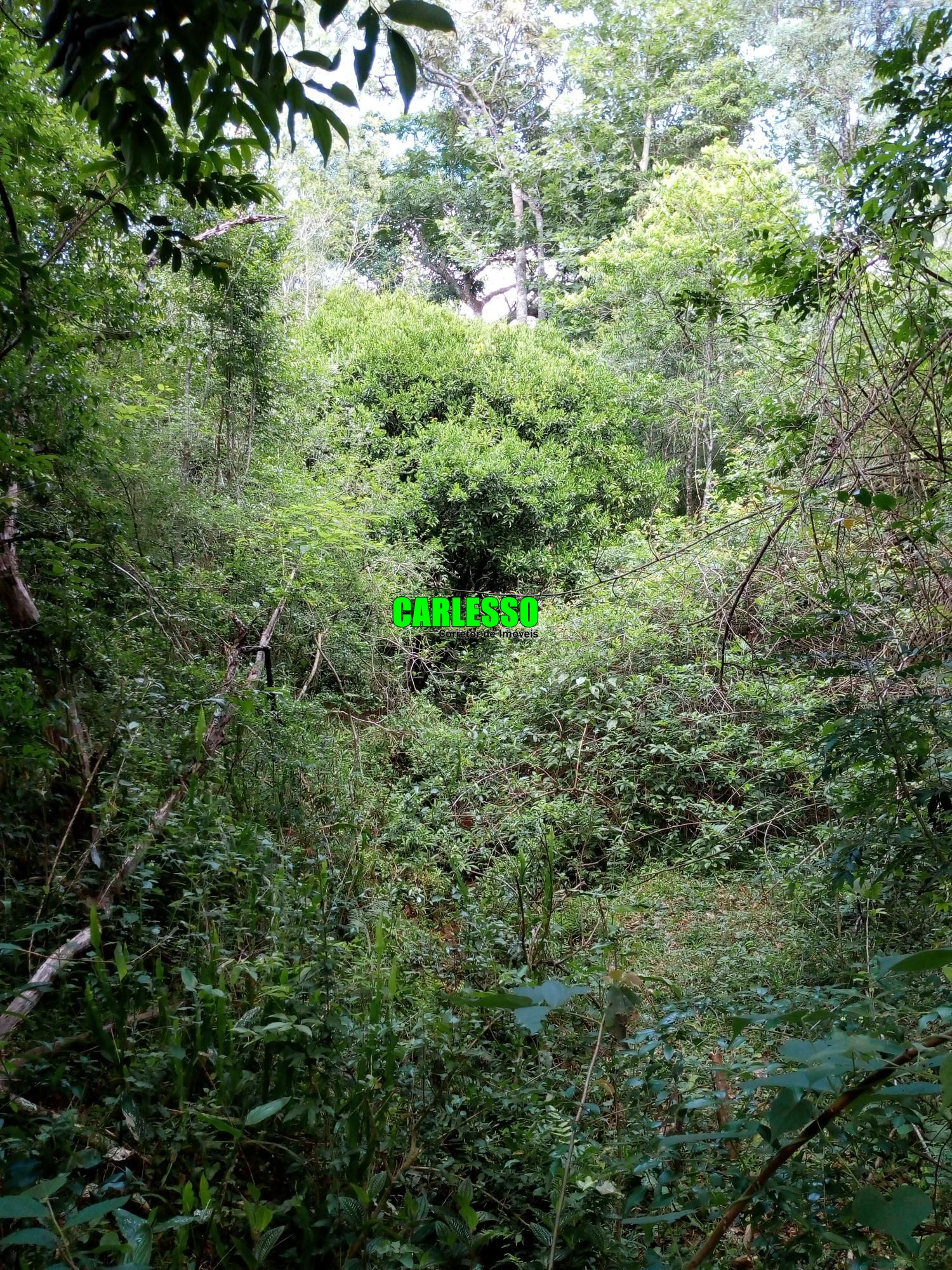 Loteamento e Condomínio à venda, 50000m² - Foto 29