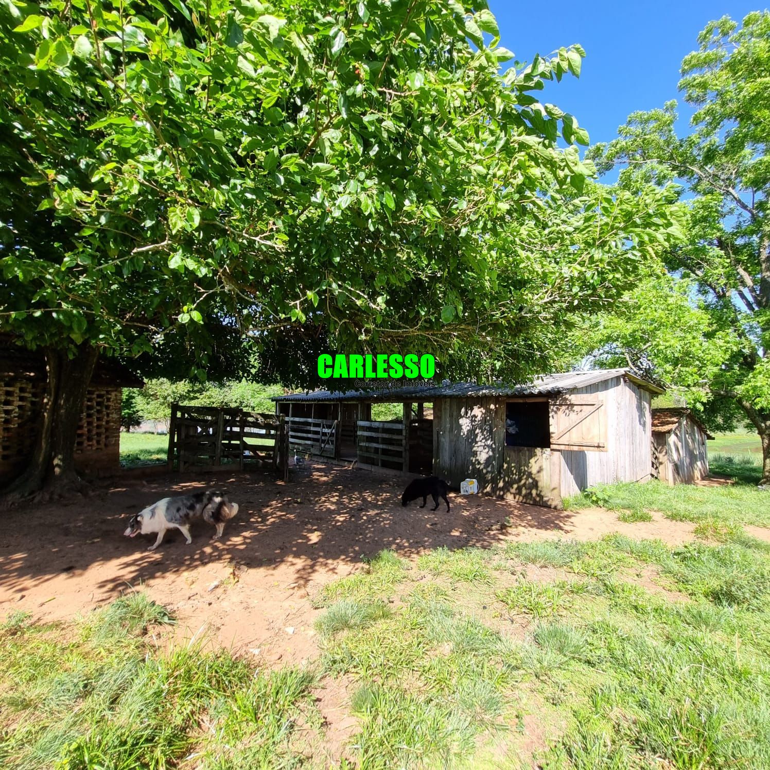 Fazenda à venda com 5 quartos, 200m² - Foto 11