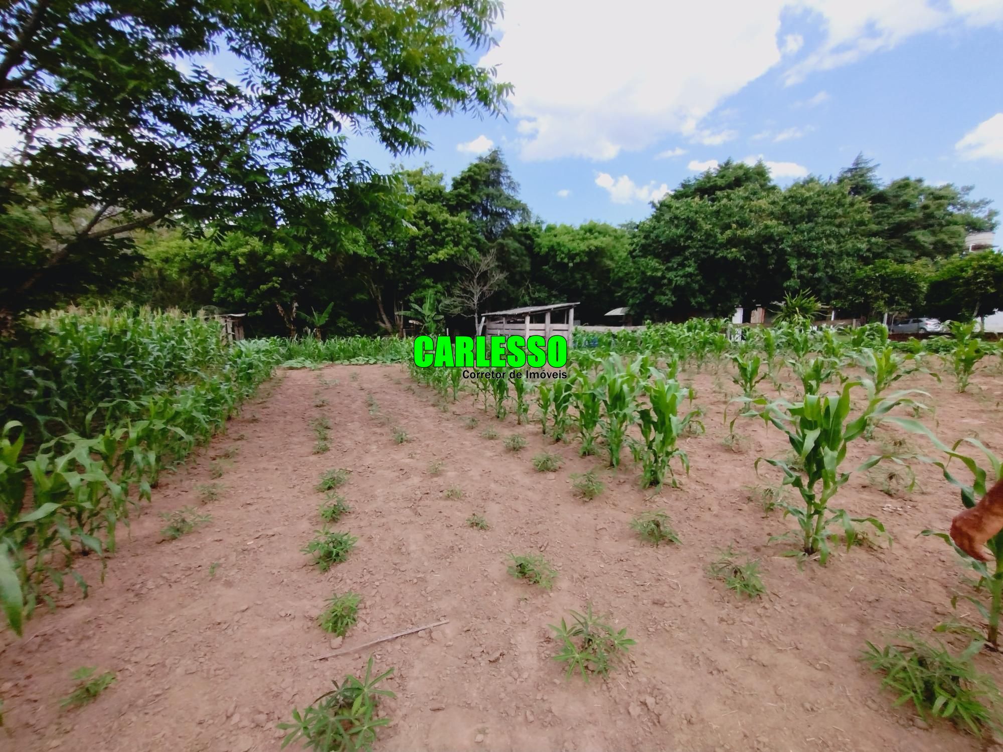 Fazenda à venda com 2 quartos, 100m² - Foto 34