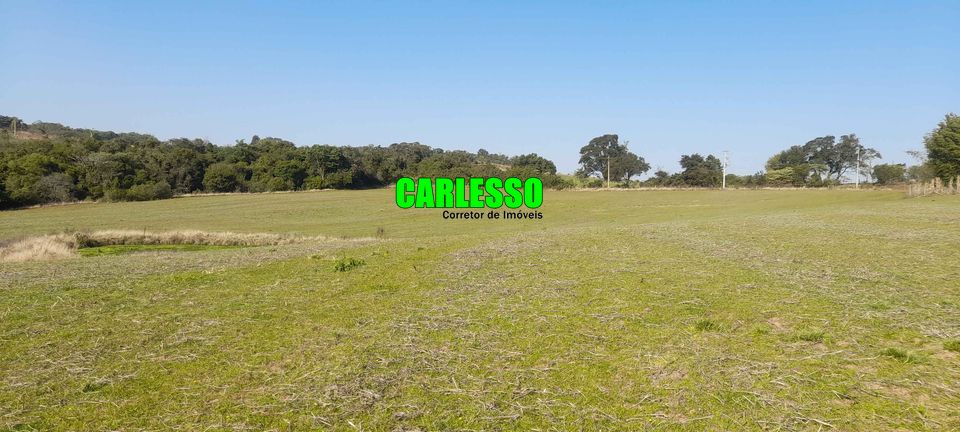 Fazenda à venda com 4 quartos, 75000m² - Foto 7