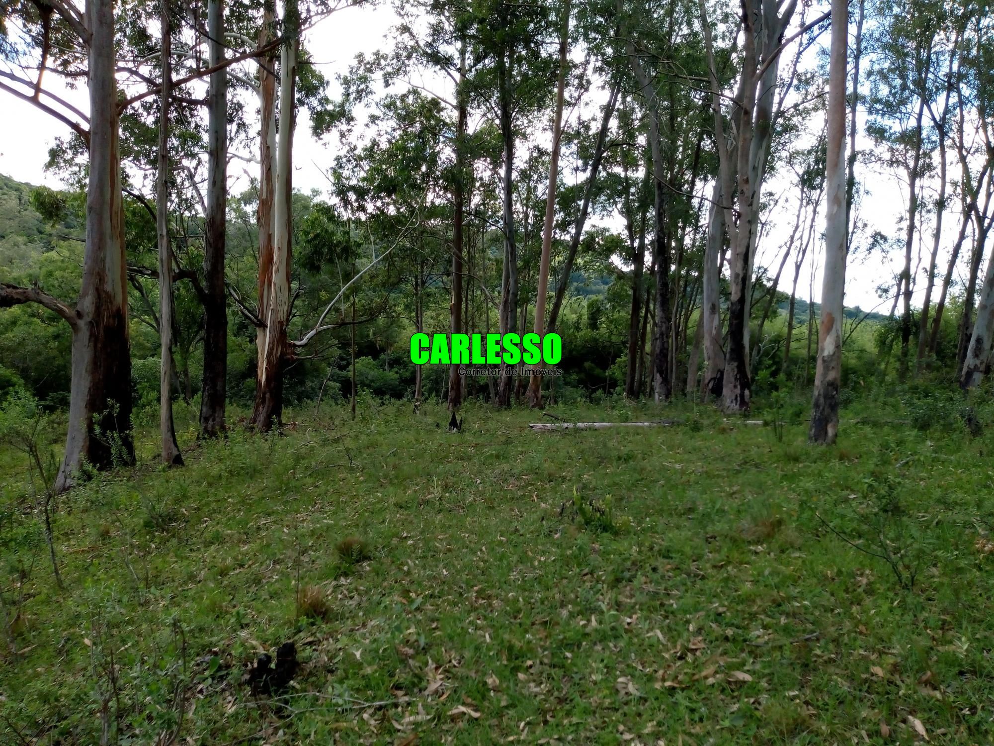 Loteamento e Condomínio à venda, 50000m² - Foto 14