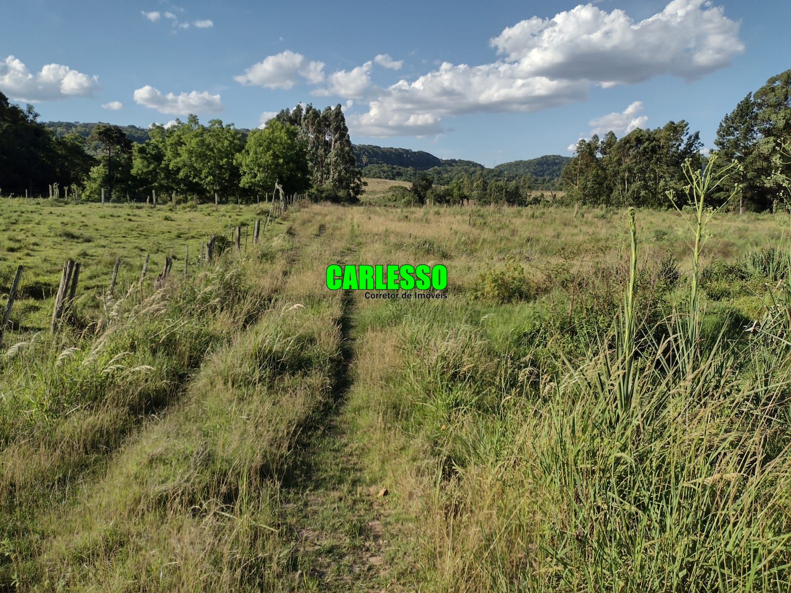 Fazenda à venda com 2 quartos, 150000m² - Foto 23