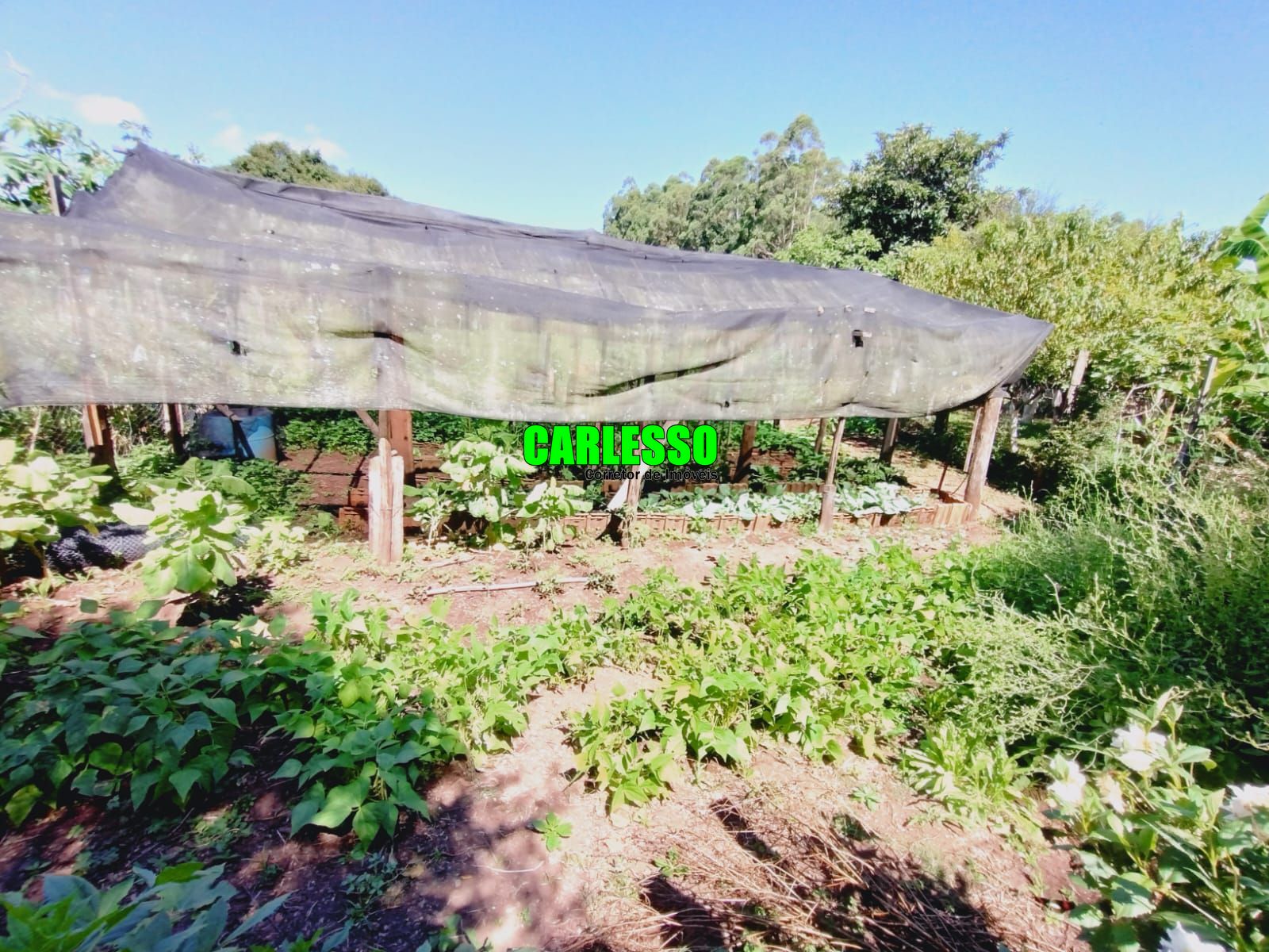 Fazenda à venda com 2 quartos, 100m² - Foto 33