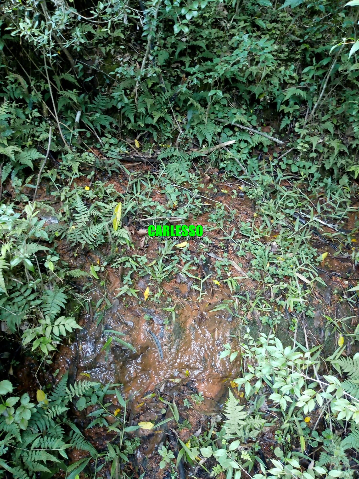 Loteamento e Condomínio à venda, 50000m² - Foto 31