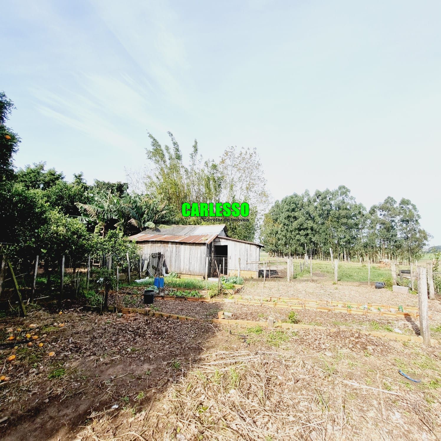 Fazenda à venda com 3 quartos, 90m² - Foto 36