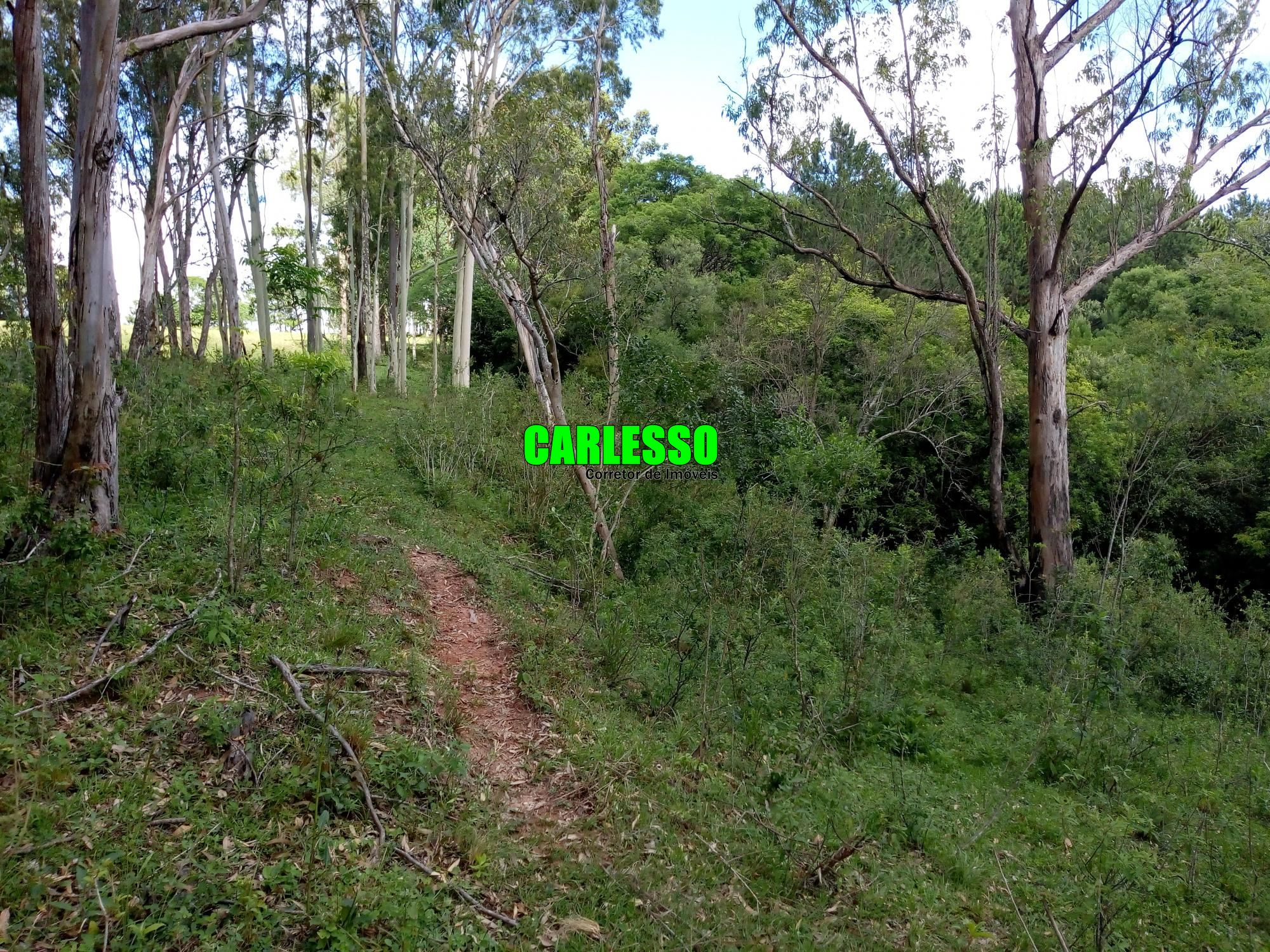 Loteamento e Condomínio à venda, 50000m² - Foto 15