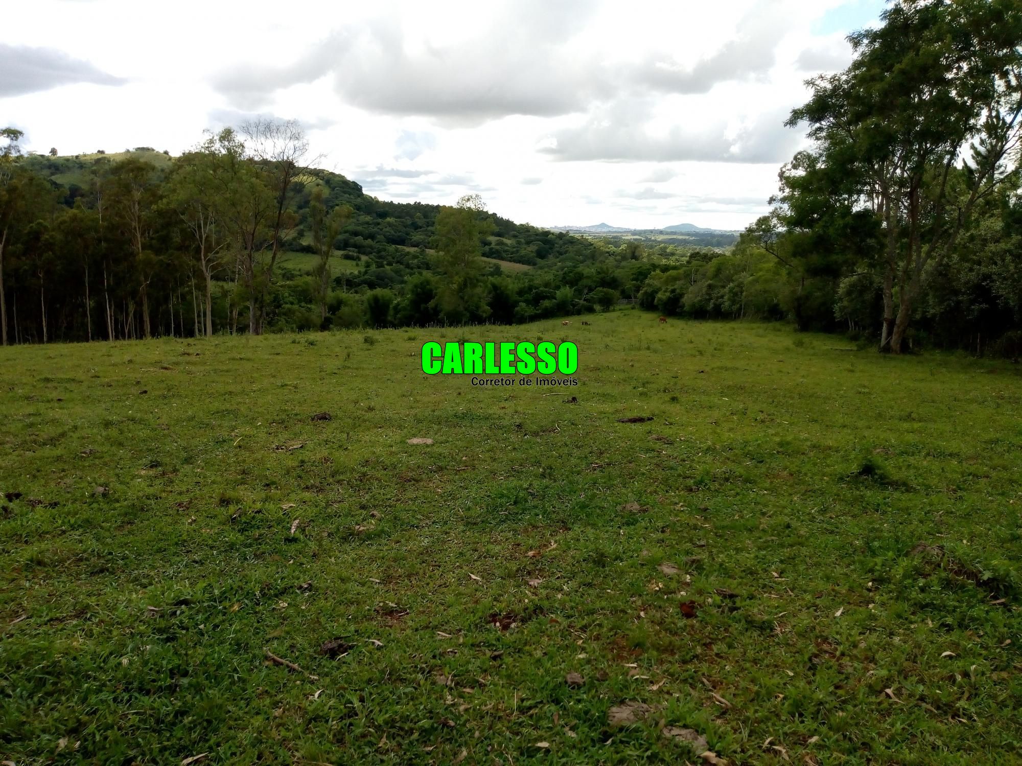 Loteamento e Condomínio à venda, 50000m² - Foto 43