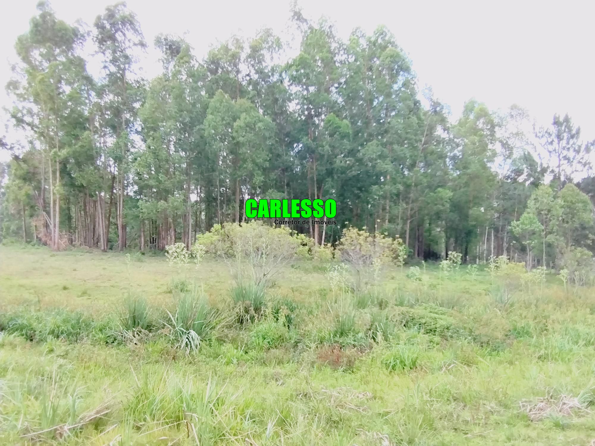 Chácara à venda com 2 quartos, 100m² - Foto 38