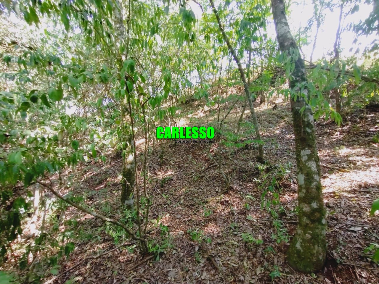 Loteamento e Condomínio à venda, 80000m² - Foto 60