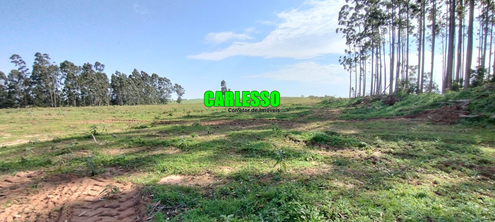 Fazenda à venda com 2 quartos, 295000m² - Foto 39