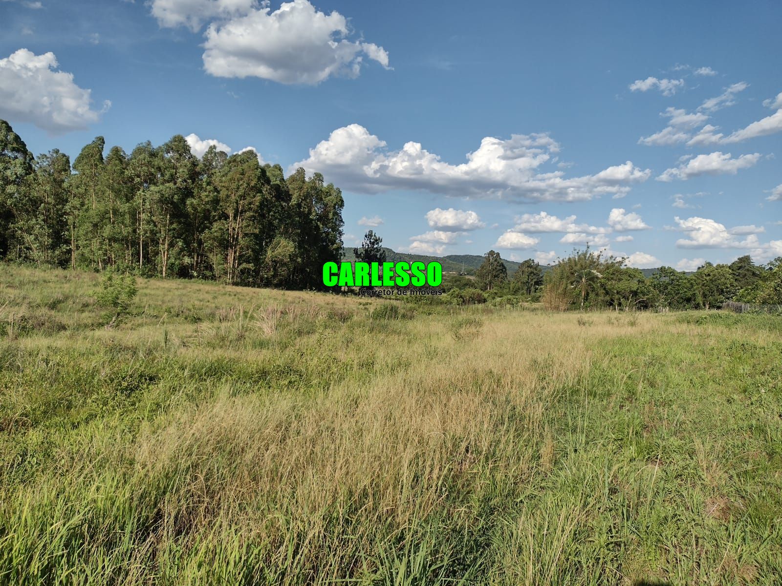 Fazenda à venda com 2 quartos, 150000m² - Foto 36