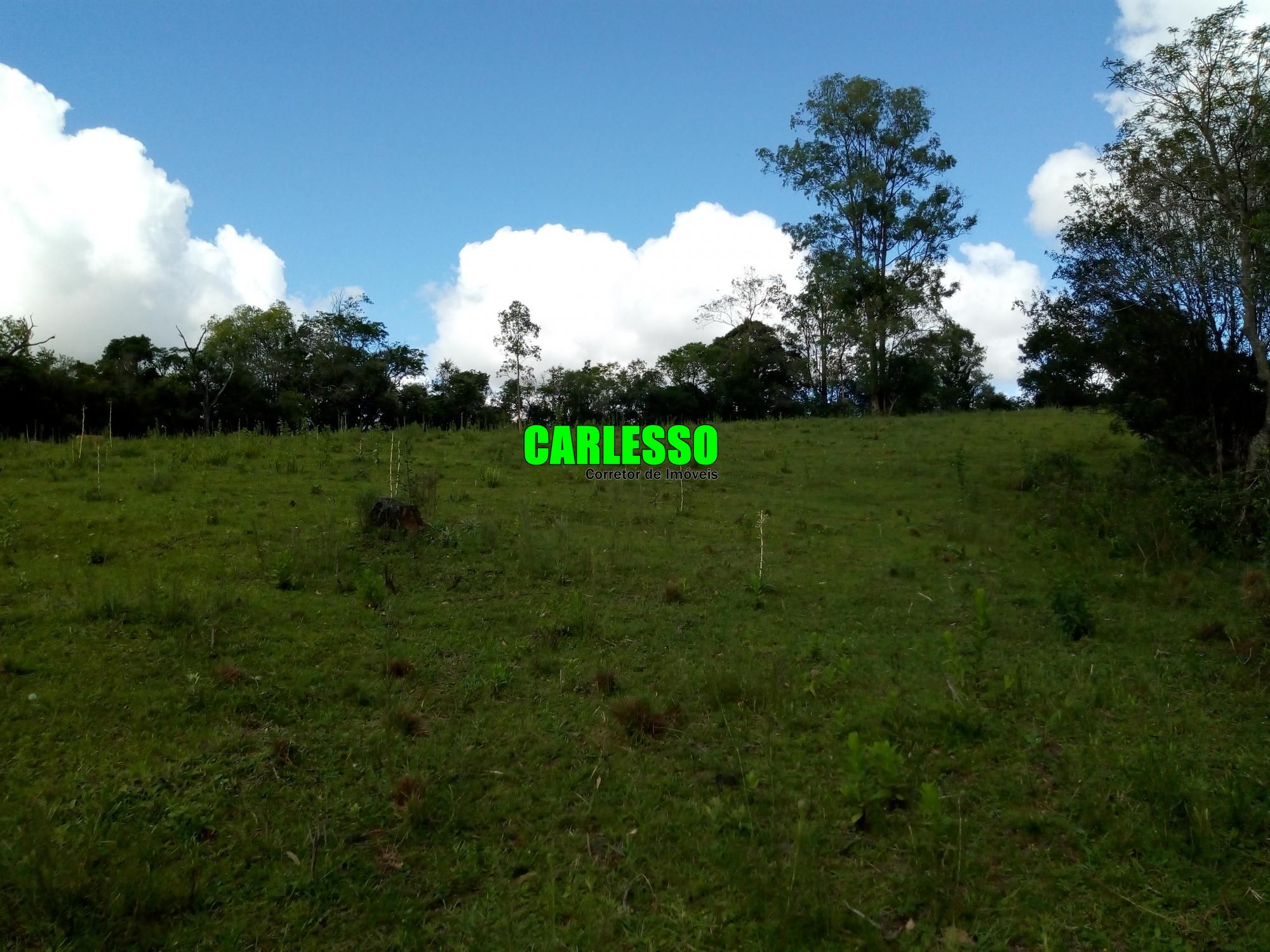 Loteamento e Condomínio à venda, 50000m² - Foto 35