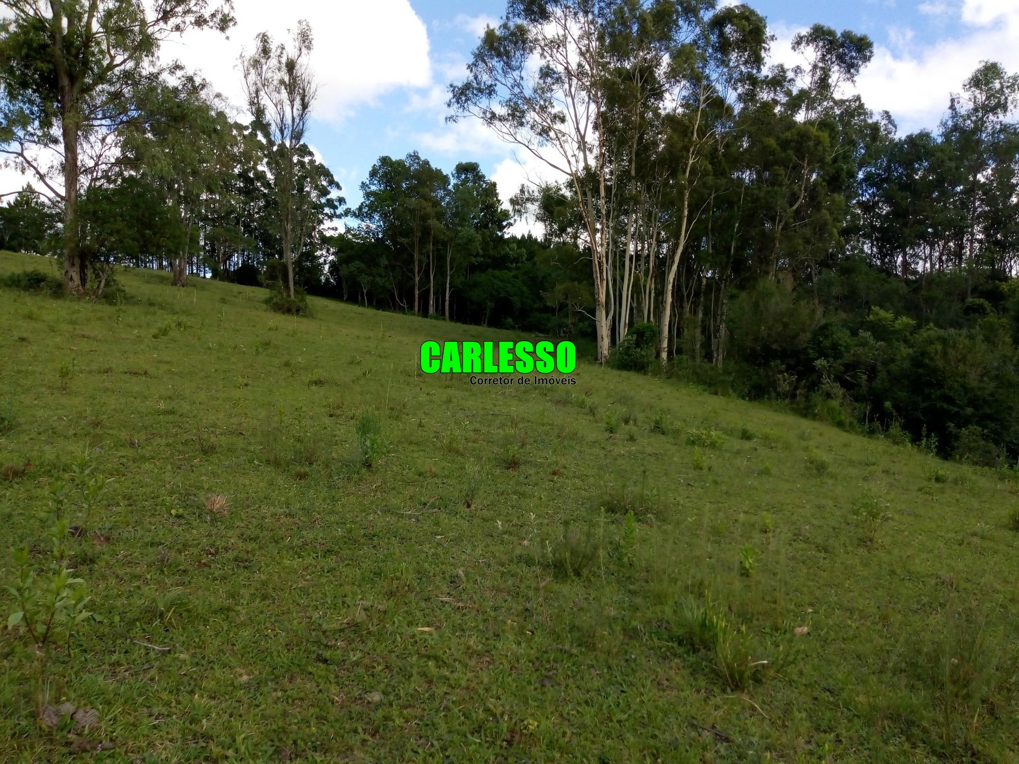 Loteamento e Condomínio à venda, 50000m² - Foto 41