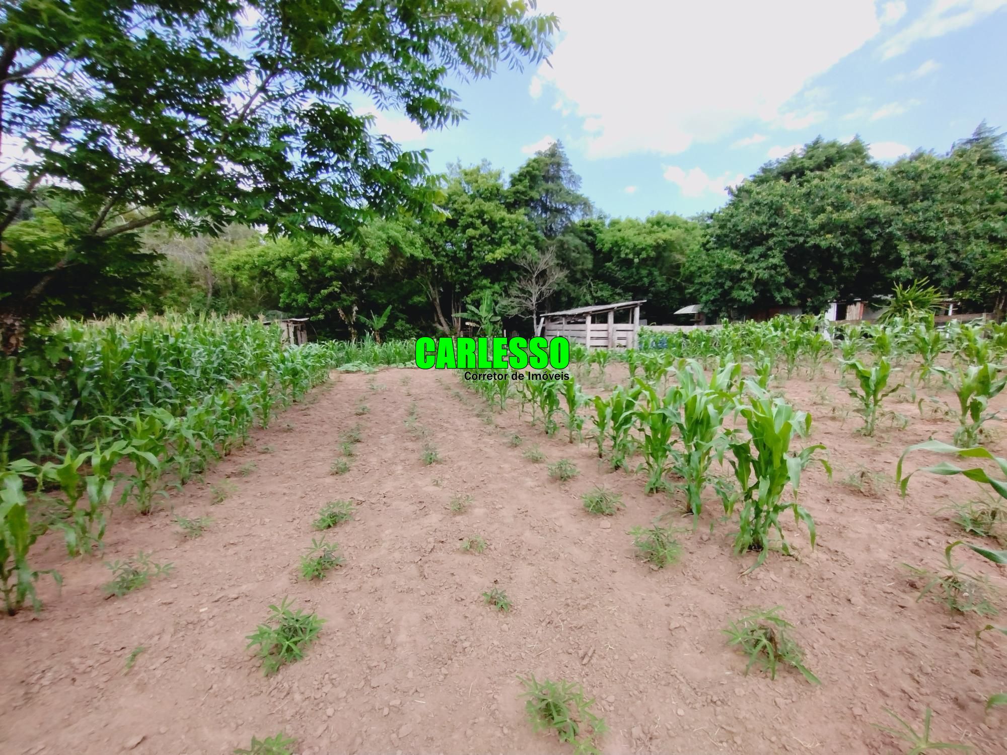 Fazenda à venda com 2 quartos, 100m² - Foto 35